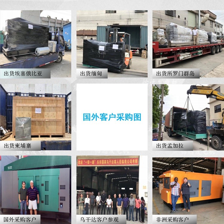 非洲發(fā)電機(jī)組供應(yīng),南非發(fā)電機(jī)
